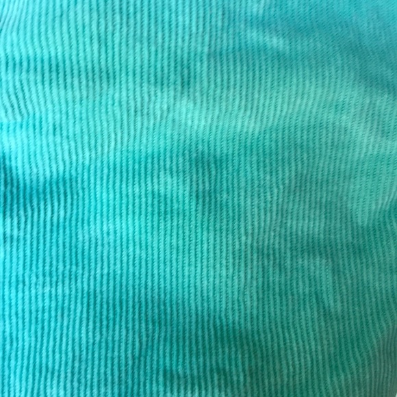 Teal corduroy American Eagle shorts - Picture 3 of 3